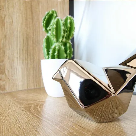 Homey Infinity New/centre/proche Geneve * 안마스