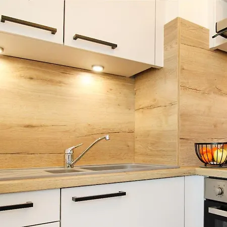Homey Infinity New/centre/proche Geneve * Annemasse